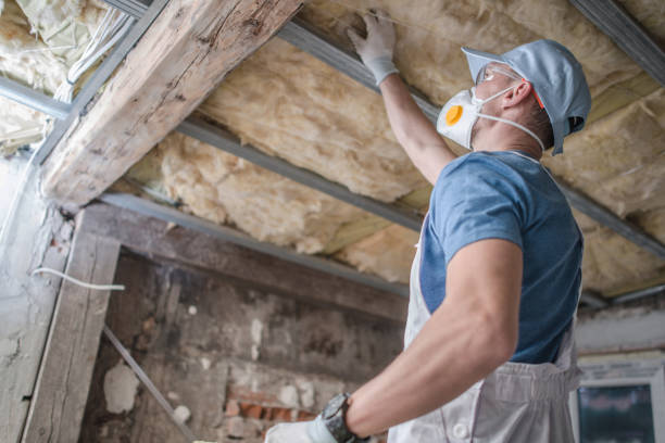 Best Insulation Installation Services in La Marque, TX